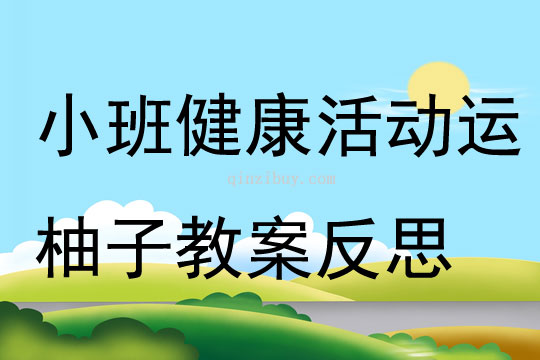 小班健康活動(dòng)運(yùn)柚子教案反思