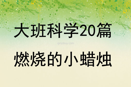 大班科學教案20篇燃燒的小蠟燭