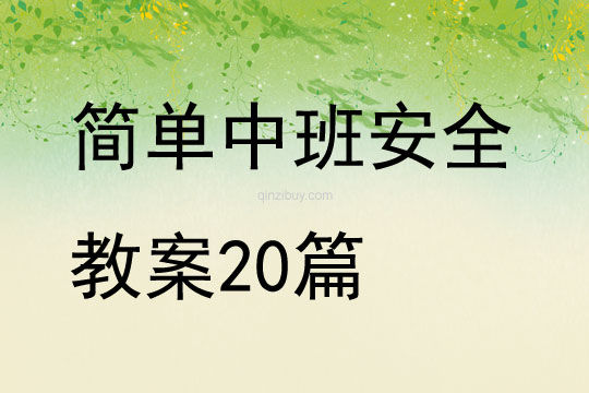 簡單中班安全教案20篇
