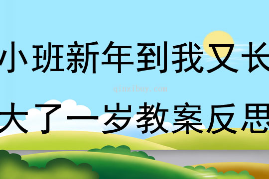 小班社會新年到我又長大了一歲教案反思