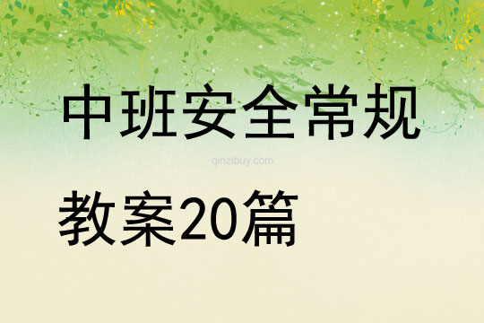 中班安全常規(guī)教案20篇