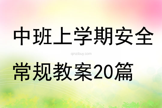 中班上學期安全常規教案20篇