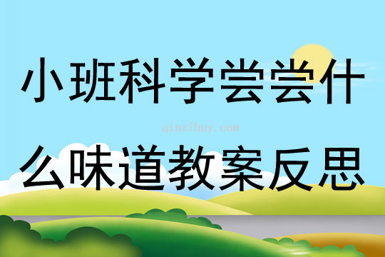 小班科學嘗嘗什么味道教案反思