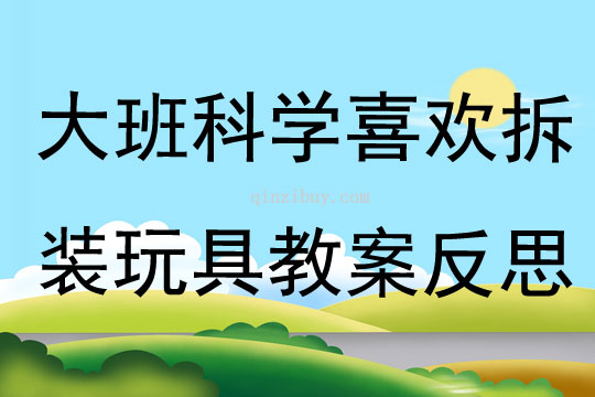 大班科學喜歡拆裝玩具教案反思