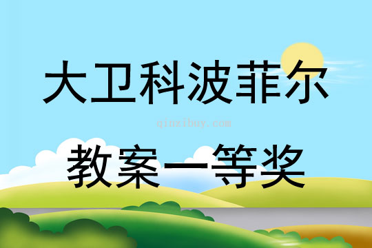 大衛(wèi)科波菲爾教案一等獎(jiǎng)