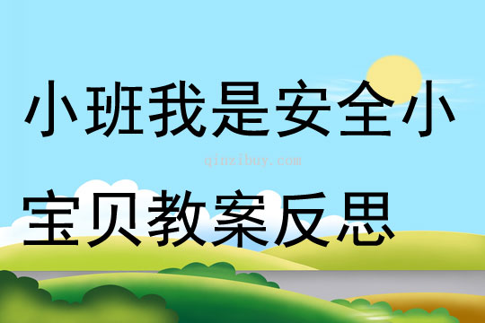 小班安全我是安全小寶貝教案反思