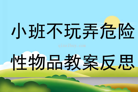 小班安全不玩弄危險性物品教案反思