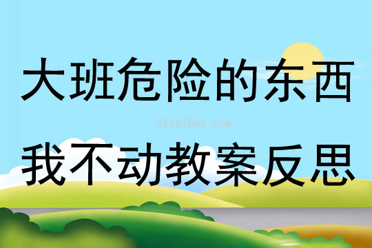 大班主題危險的東西我不動教案反思