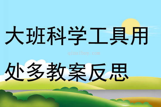 大班科學活動工具用處多教案反思