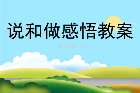 說和做感悟教案