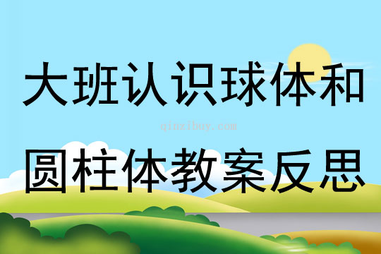 大班科學(xué)認識球體和圓柱體教案反思