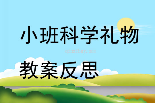 小班科學禮物教案反思