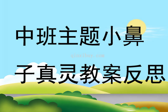 中班主題公開課小鼻子真靈教案反思
