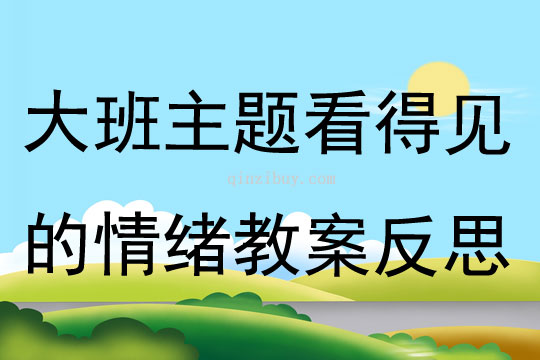 大班主題公開課看得見的情緒教案反思