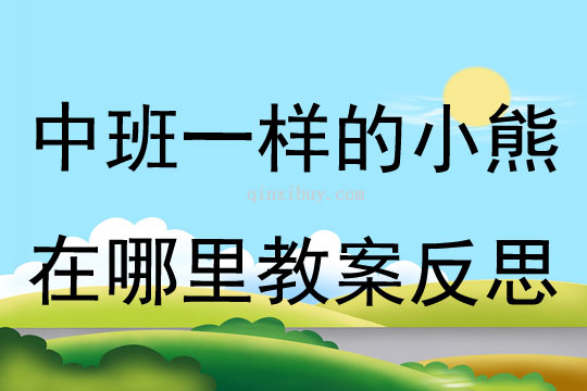 中班數(shù)學(xué)公開(kāi)課一樣的小熊在哪里教案反思
