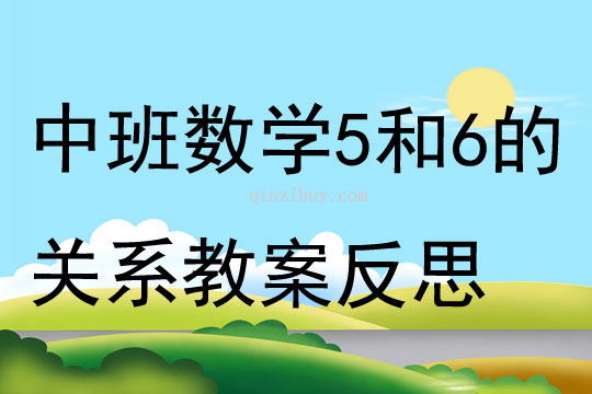 中班數(shù)學(xué)活動5和6的關(guān)系教案反思