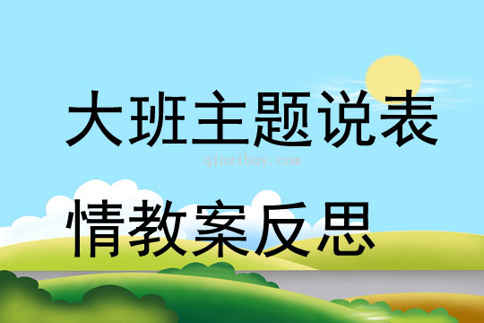 大班主題說表情教案反思