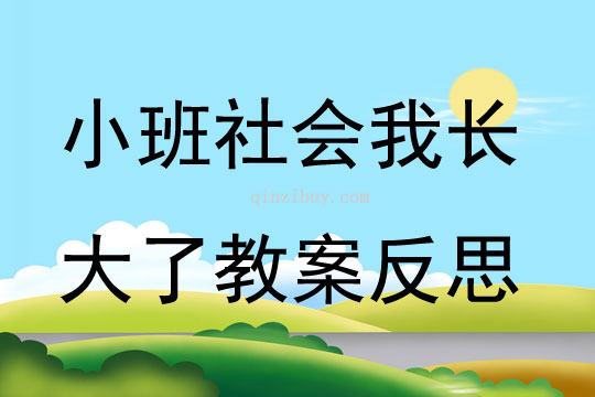 小班社會公開課我長大了教案反思