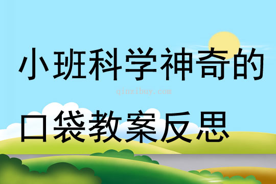 小班科學活動神奇的口袋教案反思