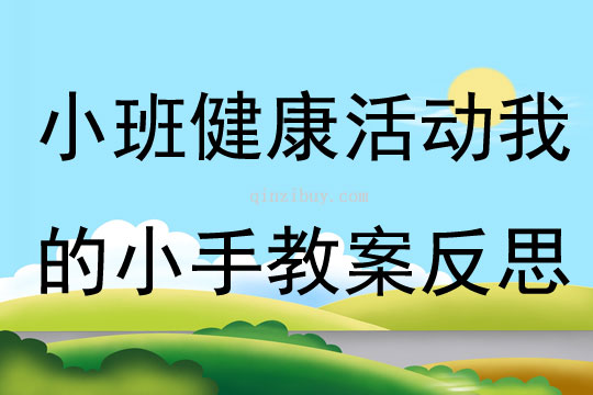 小班健康活動我的小手教案反思