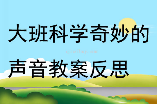 大班科學公開課奇妙的聲音教案反思