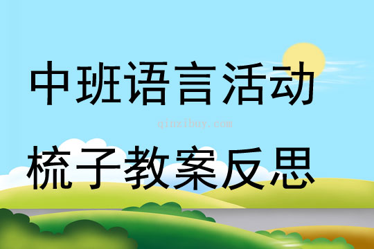 中班語(yǔ)言活動(dòng)梳子教案反思