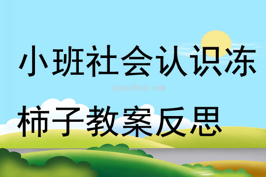 小班社會認識凍柿子教案反思