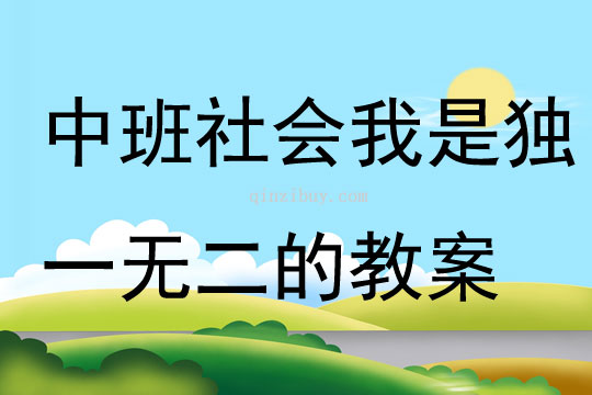 中班社會活動我是獨一無二的教案
