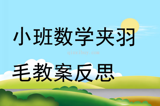 小班數學夾羽毛教案反思