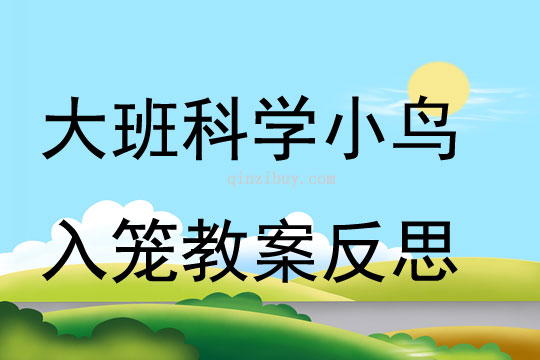 大班科學小鳥入籠教案反思