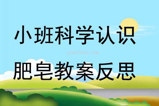 小班科學認識肥皂教案反思