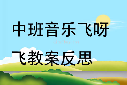 中班音樂飛呀飛教案反思