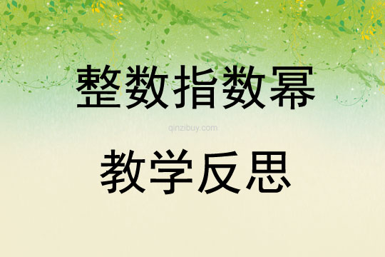 整數(shù)指數(shù)冪教學(xué)反思