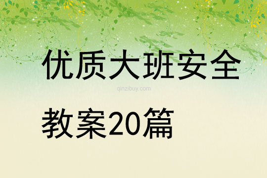 優質大班安全教案20篇
