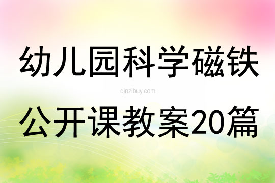 幼兒園科學磁鐵公開課教案20篇