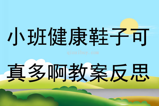 小班健康鞋子可真多啊教案反思