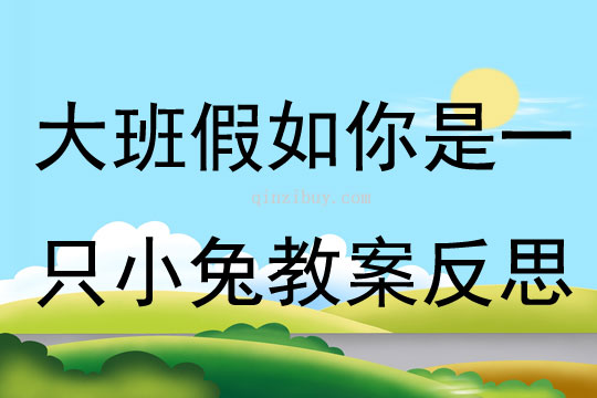 大班主題假如你是一只小兔教案反思