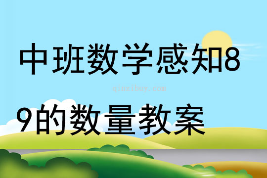 中班數學感知89的數量教案
