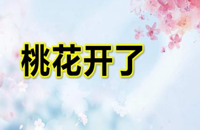 小班美術藝術桃花開了PPT課件教案