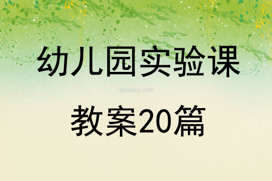 幼兒園實驗課教案20篇