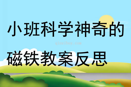 小班科學(xué)神奇的磁鐵教案反思