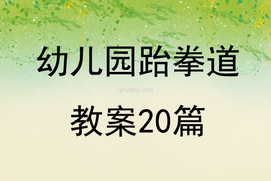 幼兒園跆拳道教案20篇