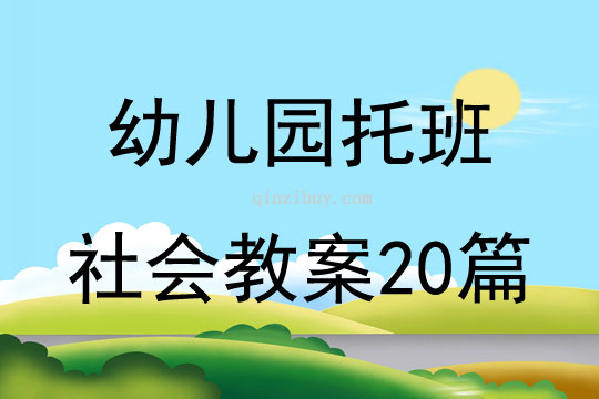 幼兒園托班社會教案20篇