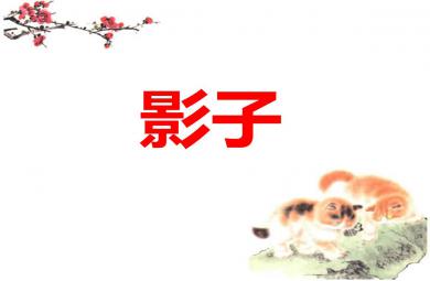 大班探索影子PPT課件教案