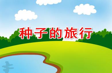 中班語言一粒種子的旅行PPT課件教案