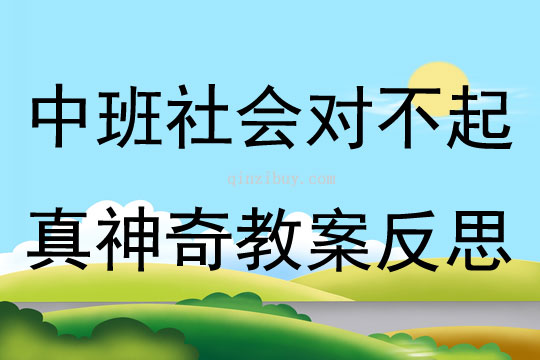 中班社會對不起真神奇教案反思