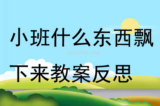 小班科學(xué)公開課什么東西飄下來教案反思
