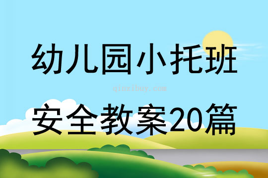 幼兒園小托班安全教案20篇
