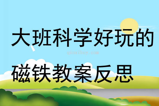 大班科學公開課好玩的磁鐵教案反思
