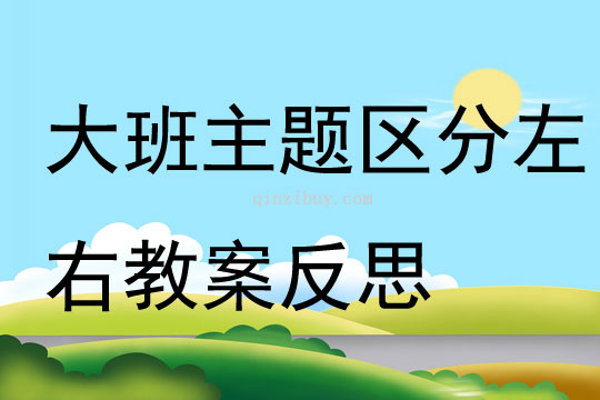 大班主題區(qū)分左右教案反思